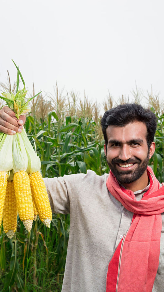 Agriculture Video From Nano to Pro Micro Influencers