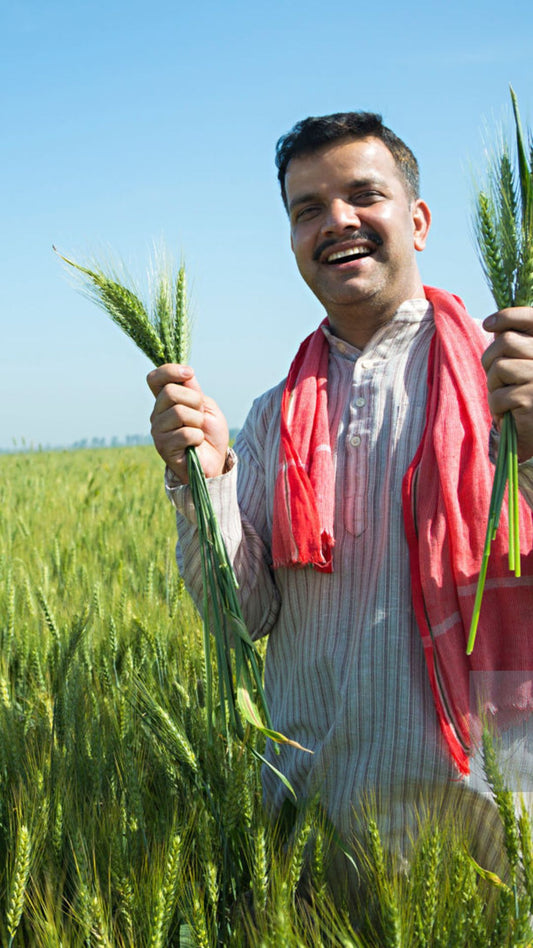 Agriculture Video From Nano to Pro Micro Influencers